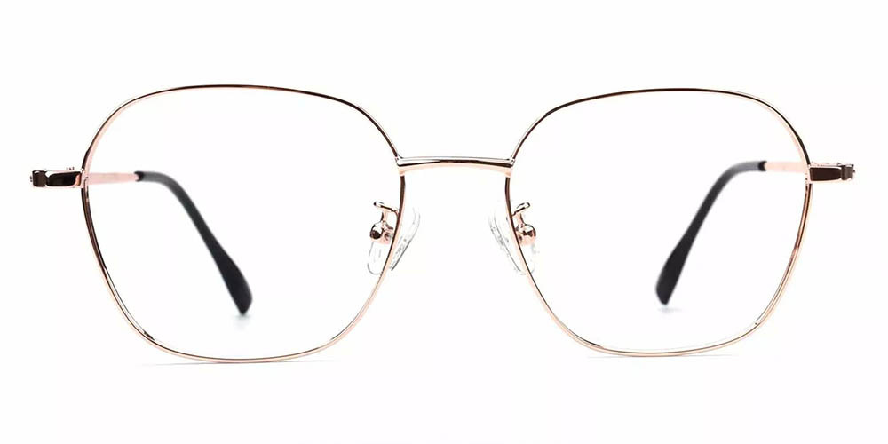 Lakeland Gold Prescription Glasses Face