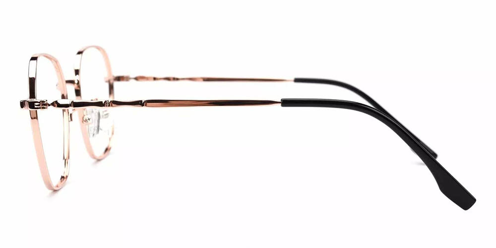 Lakeland Gold Prescription Glasses Leg