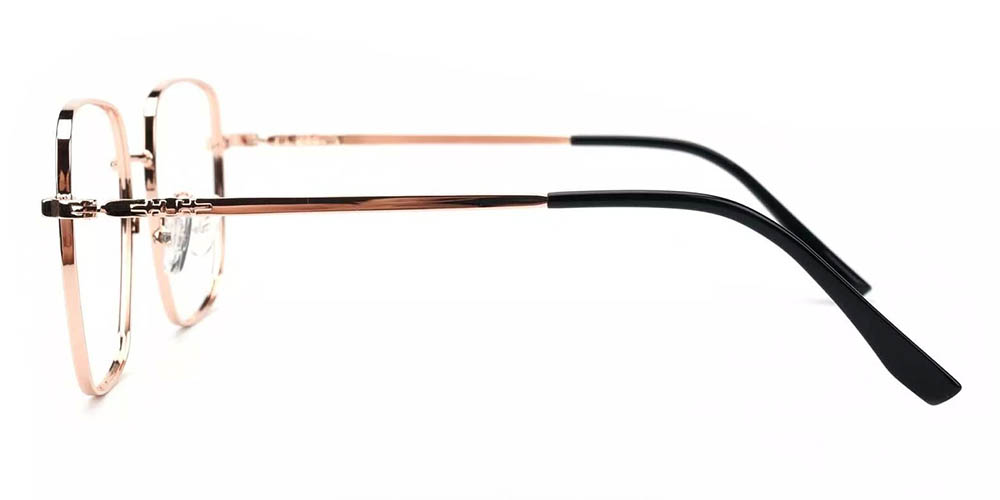 Boulder Gold Prescription Glasses Leg
