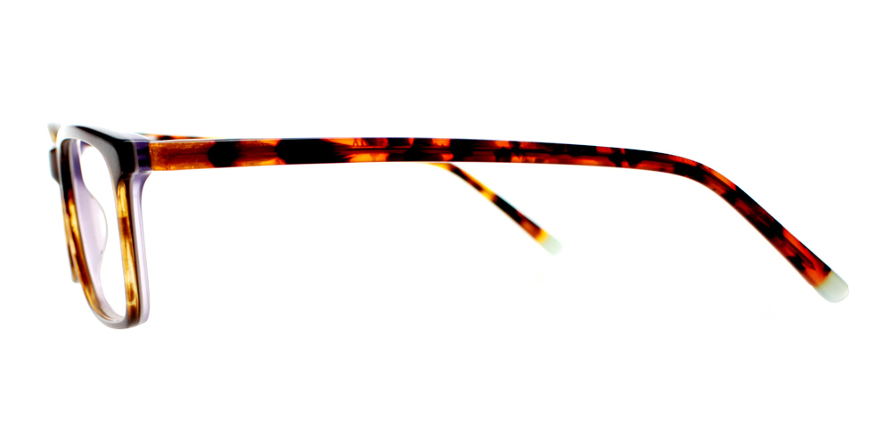 Tiburon Tortoiseshell Prescription Glasses Leg
