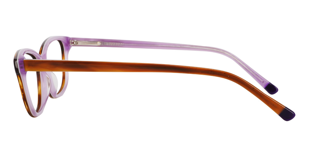 Beacon Brown Prescription Glasses Leg