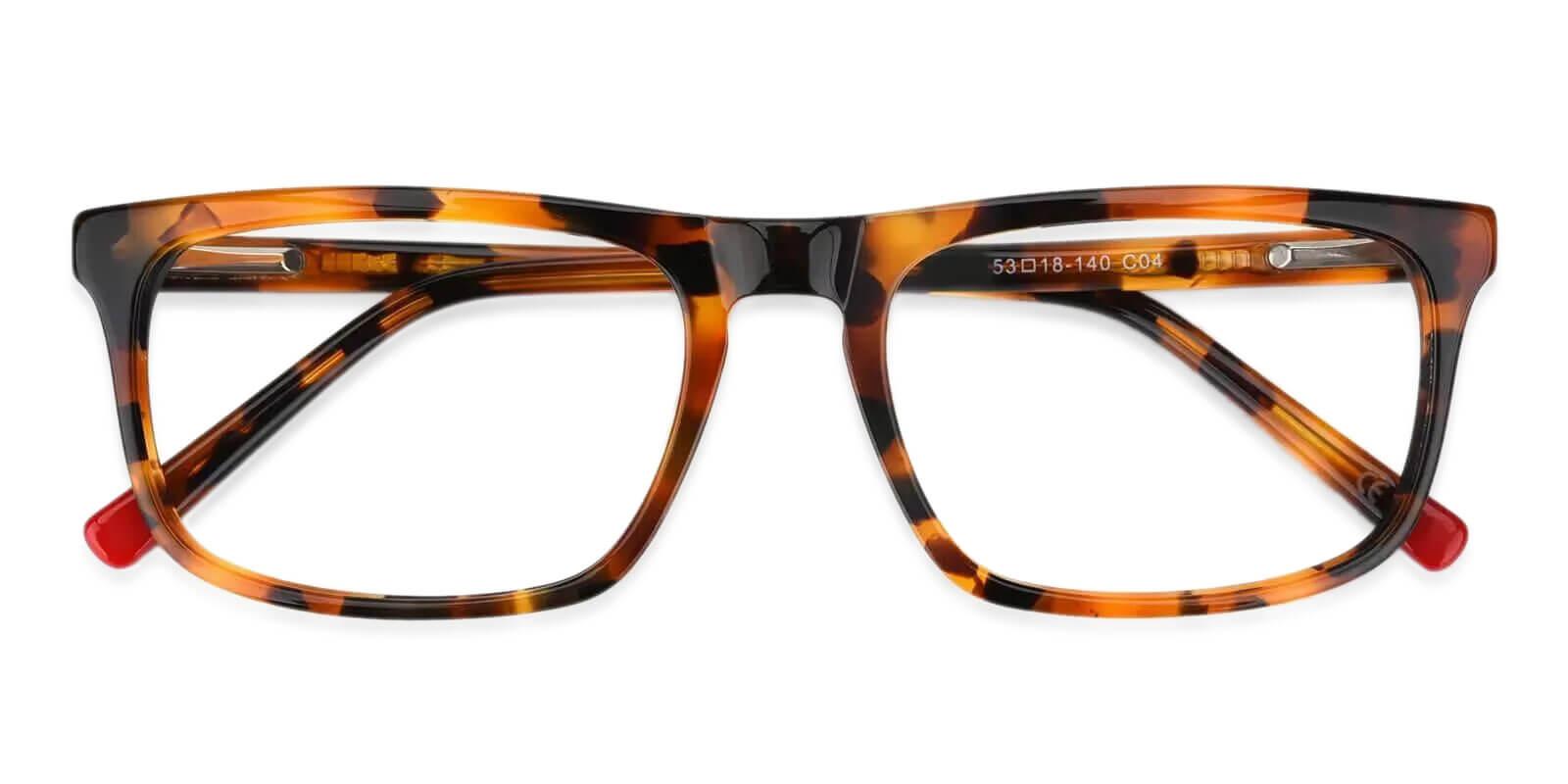 Arcadia Tortoise Prescription Glasses Front