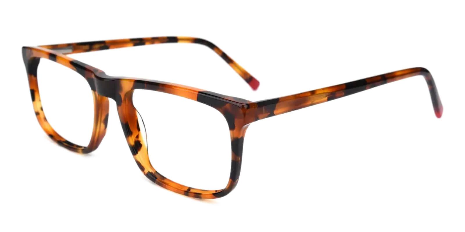 Arcadia Tortoise Prescription Glasses Side