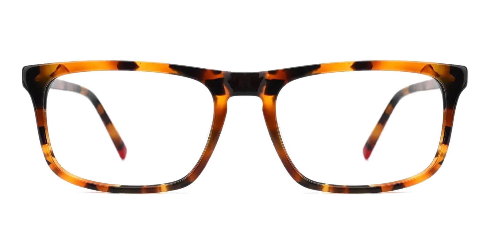 Arcadia Tortoise Prescription Glasses Face