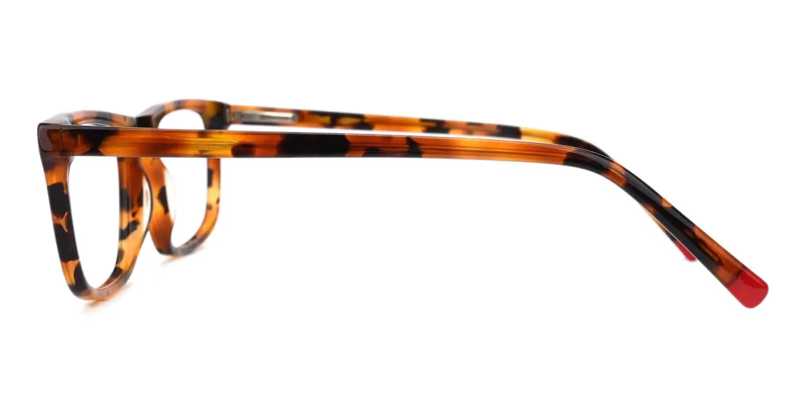 Arcadia Tortoise Prescription Glasses Leg