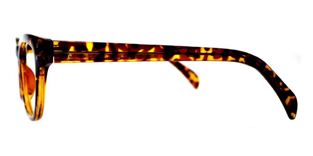 Oxnard Tortoiseshell Glasses Leg