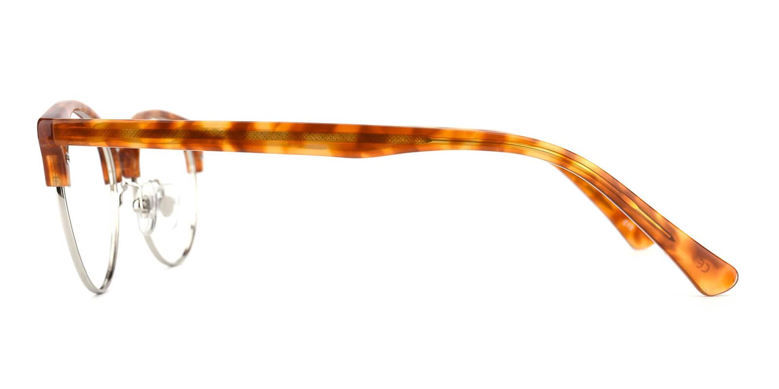 Allison Tortoiseshell Prescription Glasses Leg