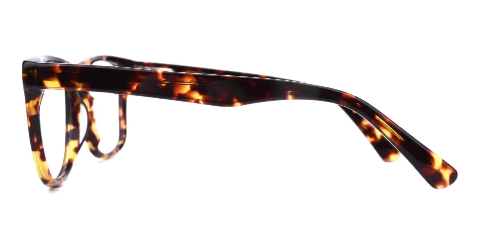 Campbell Tortoiseshell Prescription Glasses Leg