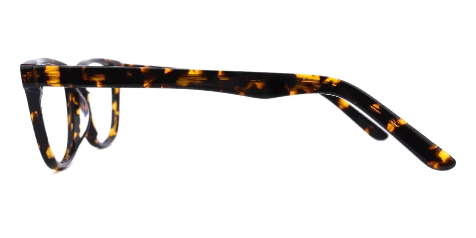 Pacifica Tortoiseshell Prescription Glasses Leg