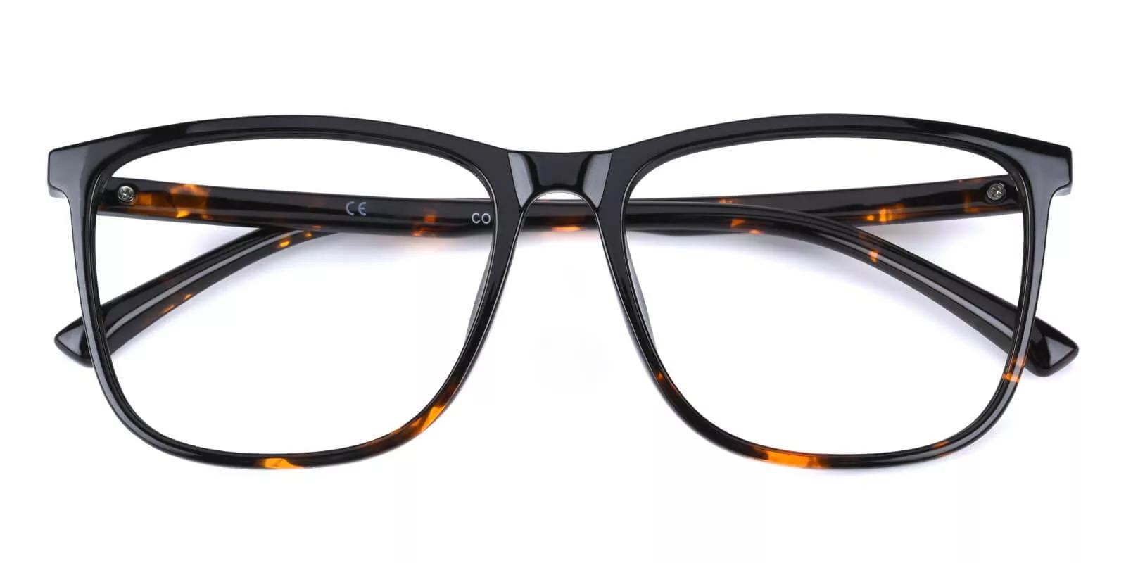 Vacaville Tortoiseshell Prescription Glasses Front