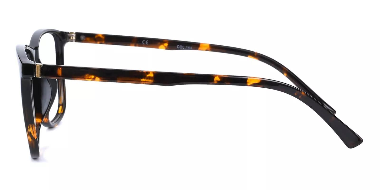 Vacaville Tortoiseshell Prescription Glasses Leg