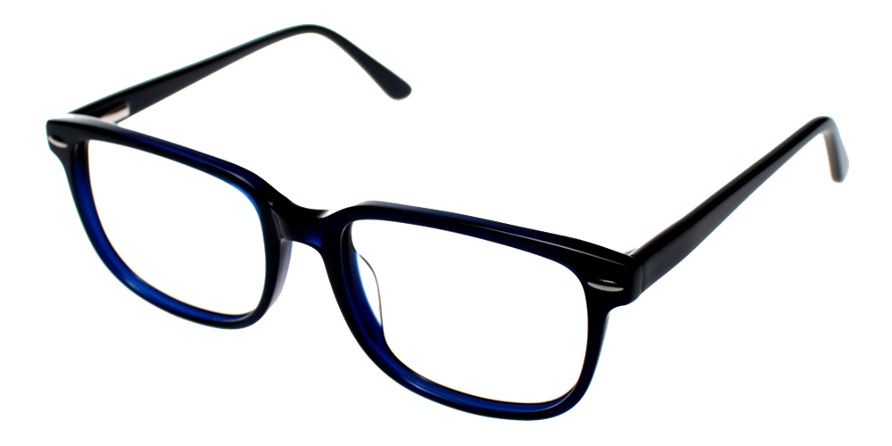 Berkeley Black & Blue Prescription Glasses Side