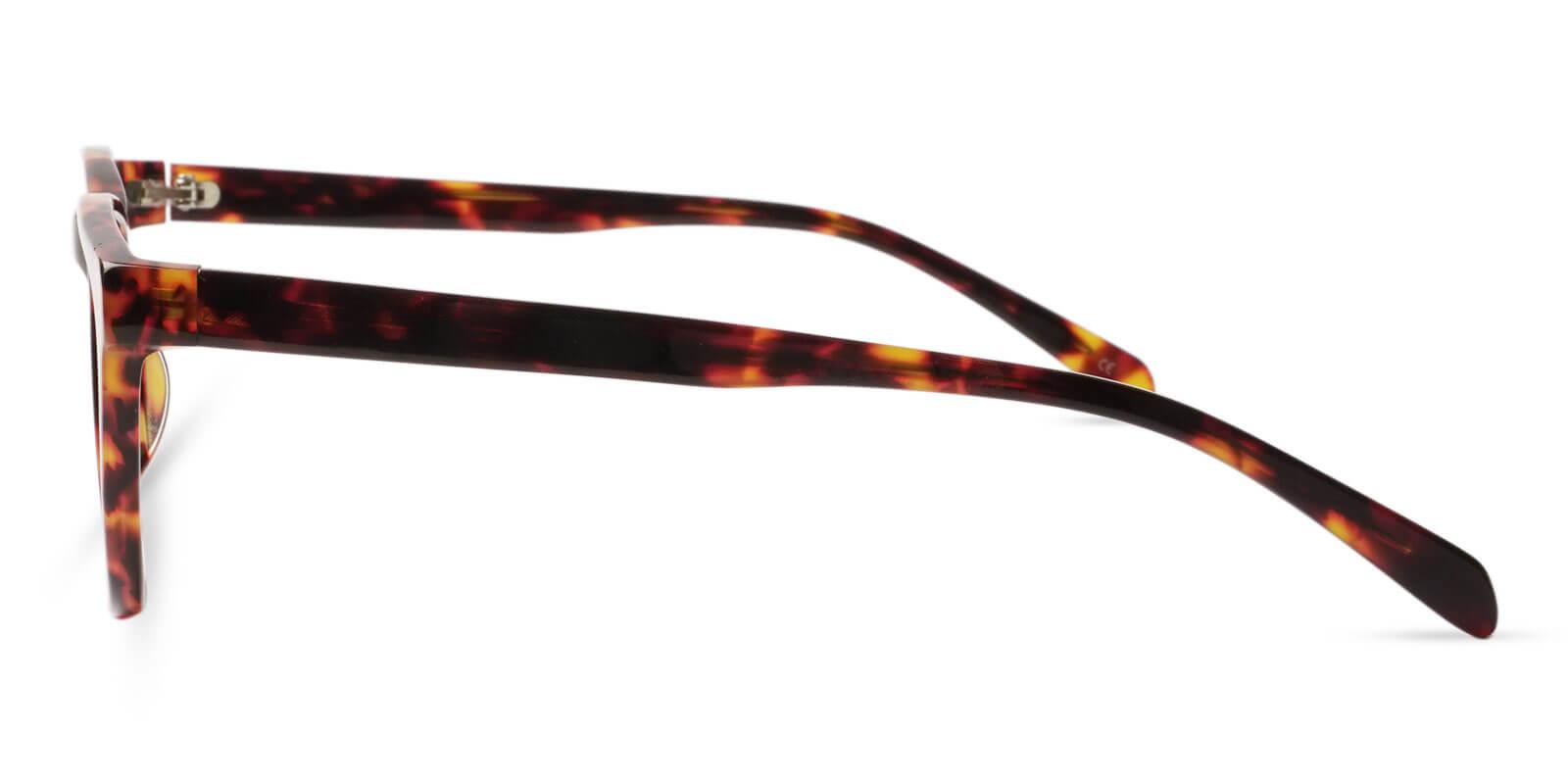 Nora Tortoiseshell Prescription Glasses Leg