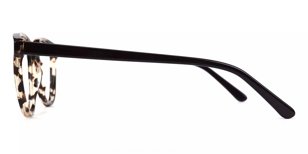 Kenosha Tortoise Prescription Glasses Leg