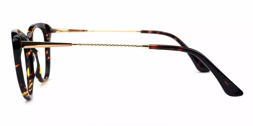 Aberdeen Tortoise Prescription Glasses Leg