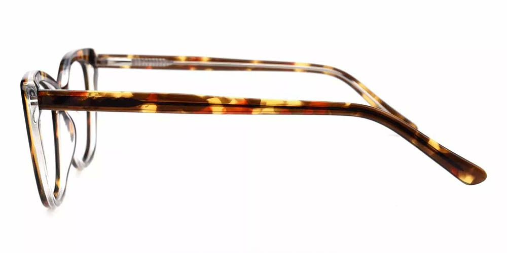 Everett Tortoise Prescription Glasses Leg