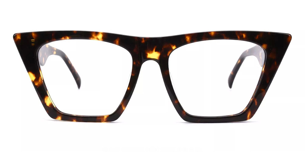 Concord Tortoise Prescription Glasses Face