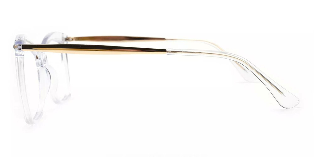 Visalia Clear Prescription Glasses Leg