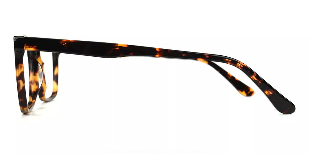 Quincy Tortoise Prescription Glasses Leg