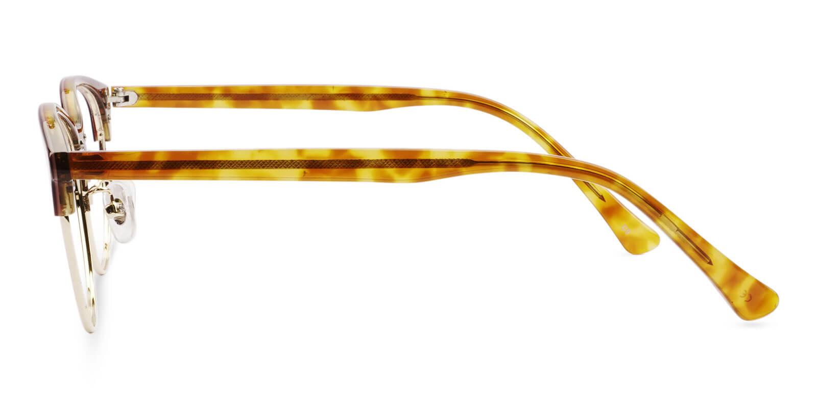 Charlie Tortoiseshell Prescription Glasses Leg