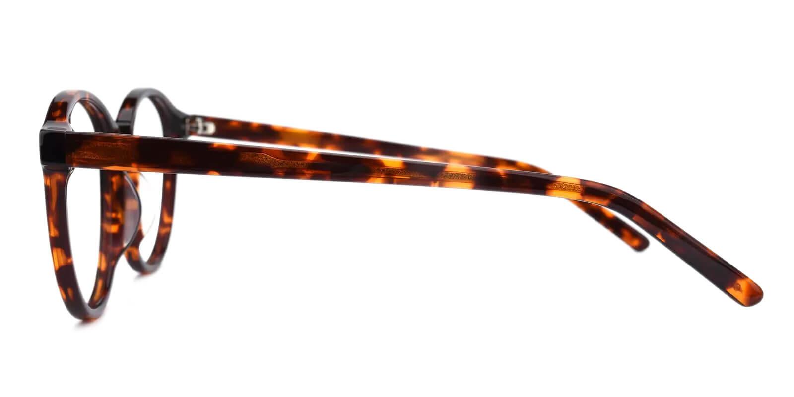 Kaitlyn Tortoise Prescription Glasses Leg