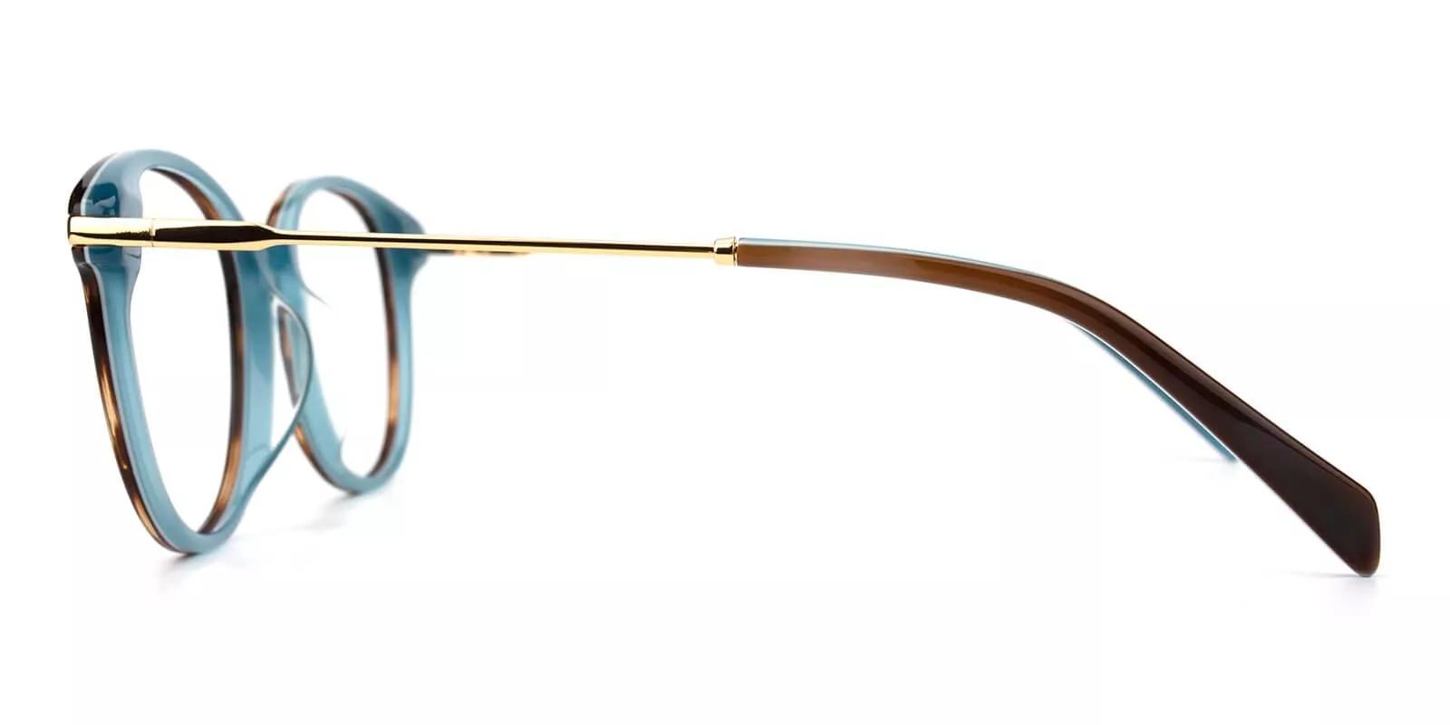 Clinton Tortoiseshell Prescription Glasses Leg