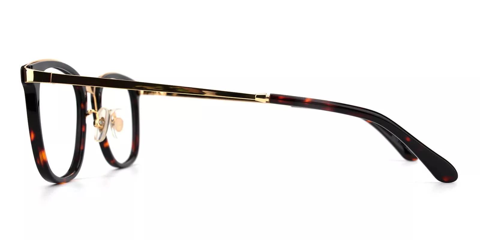 Vista Tortoiseshell Prescription Glasses Leg