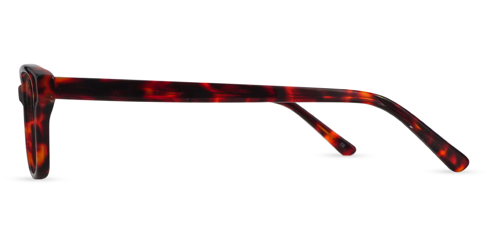 Warren Colorful Prescription Glasses Leg