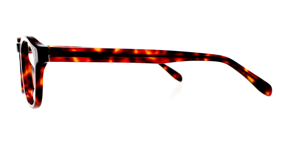Loomis Tortoiseshell Prescription Glasses Leg