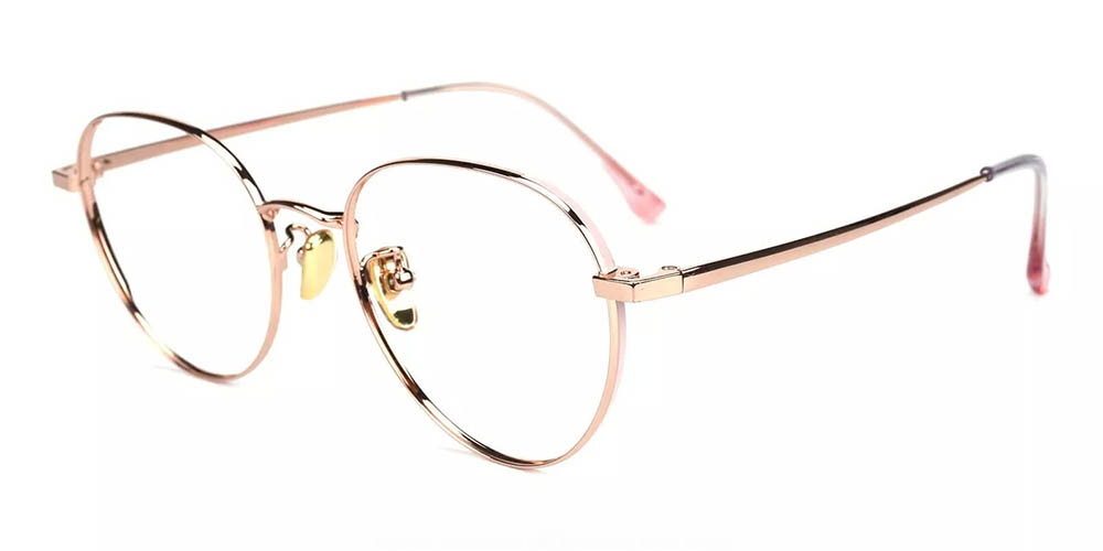 Palm Bay Titanium Prescription Glasses Side