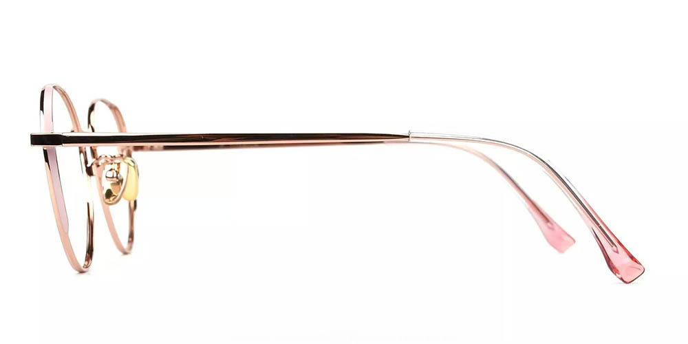 Palm Bay Titanium Prescription Glasses Leg