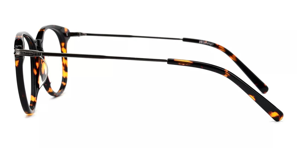 Paterson Tortoiseshell Prescription Glasses Leg