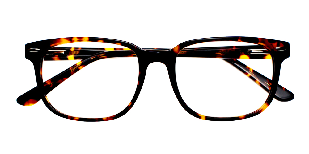 Berkeley Tortoisesshell Prescription Glasses